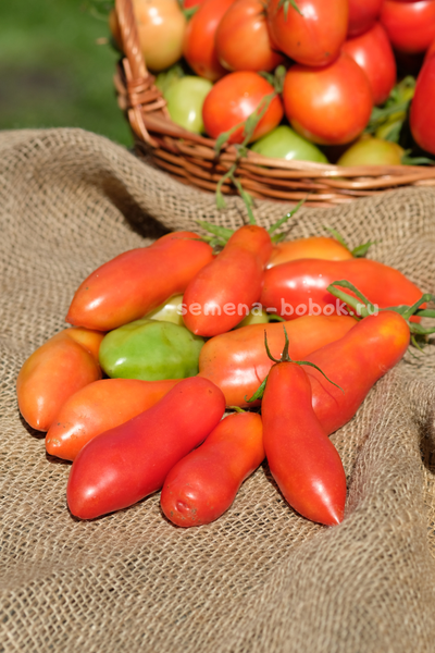 Томат Стрелка, 10 шт