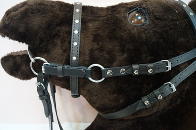 Узда кожаная(с регулировкой размера от COB до FULL)