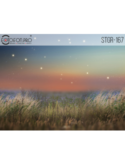 Фотофон на холсте «Вечернее поле»