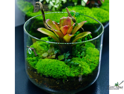 Чаша Лудзи Biolark MY-150 (150мм х 150мм)