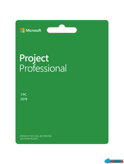 Project профессиональный 2019 ( H30-05756 , бессрочная электронная лицензия )
