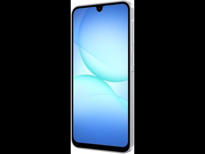 Samsung Galaxy A17 6/128GB RU A175 Серый