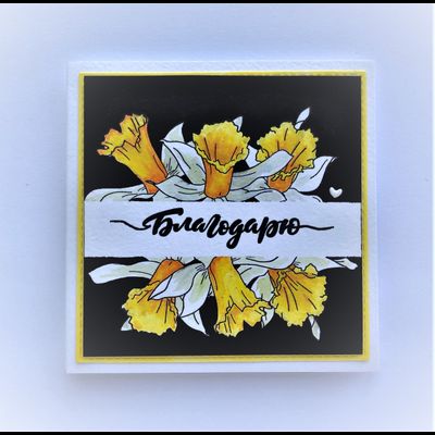 ФП штамп "Нарциссы"