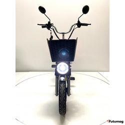 Электровелосипед GreenCamel Транк Монстр PRO (R16FAT 800W 48V15Ah) гидравл. тормоз