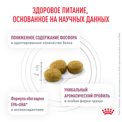 Royal Canin (Роял Канин) Renal Сухой корм для взрослых кошек для поддержания функции почек, 2 кг