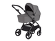 Коляска 2в1 Anex IQ Basic Lune 2025 (iq-17 нов.трансф.)