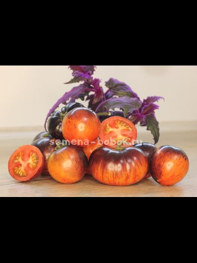 Томат Королева ночи (Koenigin der Nacht), 10 шт.