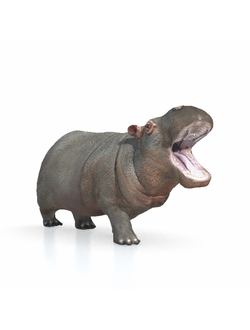 животные Бегемот детеныш Hippo