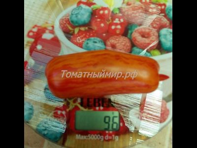 Томат Банан пестрый