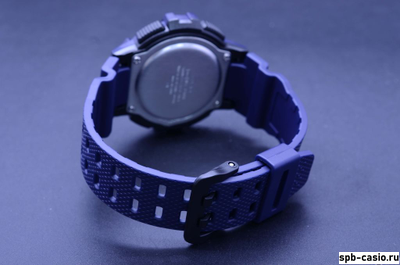 Часы Casio WS-1200H-2AVEF