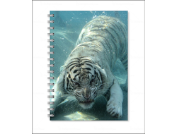 Тетрадь год Тигра №9