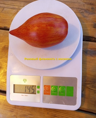 Томат Розовый фламинго полосатый