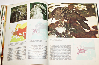 Клаудсли-Томпсон Дж. Миграция животных. Перевод с английского. М.: Мир. 1982г.