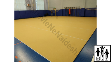 Ковер для художественной гимнастики 14на14 на подложке Ппэ 30мм
