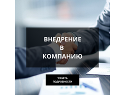 Внедрение в организацию