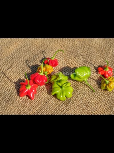 Перец острый Brazilian Starfish (Бразильская Морская Звезда), 10 шт