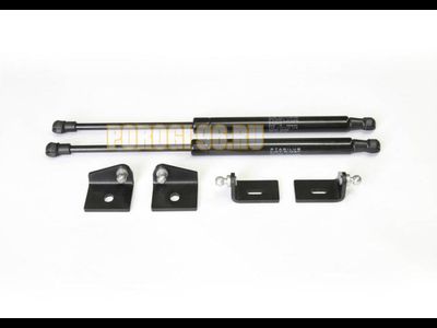 Амортизаторы капота, 2 шт. АвтоУпор для Citroen C4 II 2010-2016