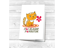 Обложка для влюбленных, на 14 февраля на паспорт №12