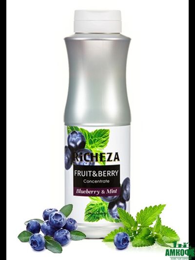 Фруктовый концентрат RiCHEZA Черника-Мята