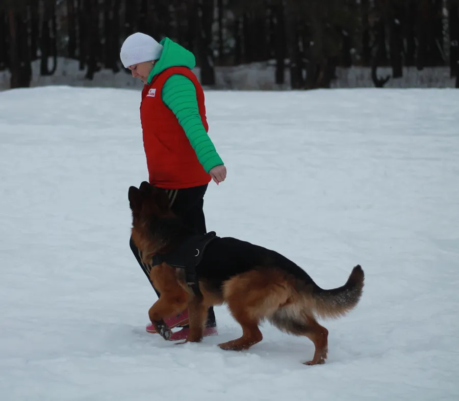 февраль 2015