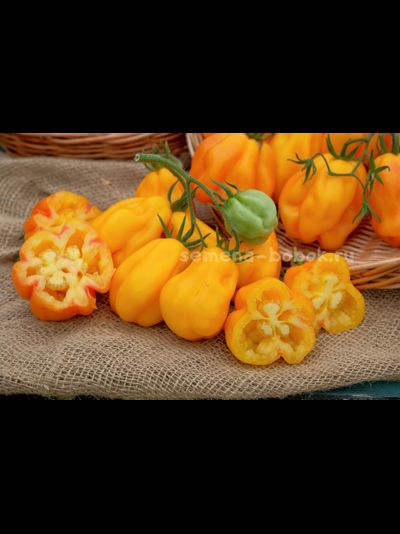 Томат Drapee (Драпированный), 10 шт