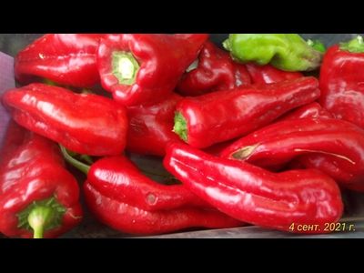 Перец сладкий Дольче Итальяно