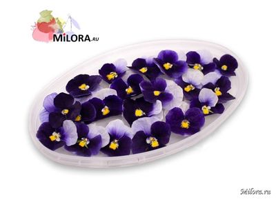 Съедобные цветы - синяя виола milora.ru