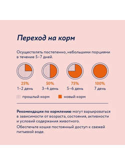 Florida (Флорида) влажный корм (пауч) для кастрированных и склонных к ожирению кошек и котов, индейка в соусе 85 г