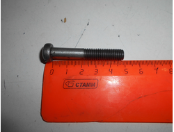 Болт М 8 для крепления левой крышки двигателя Ява