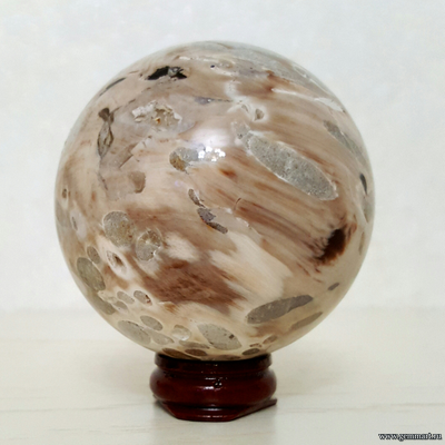 Окаменелое дерево со следами древоточца, шар. Россия. Около 69мм.