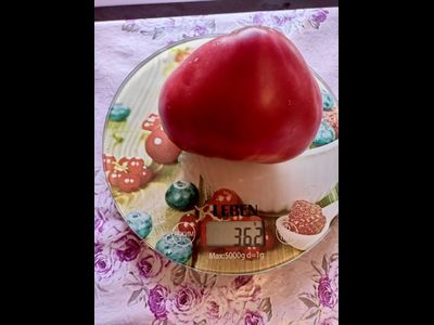 Томат Трюфельное сердце