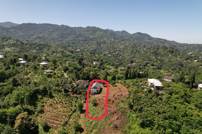 Продаётся земельный участок в Бобоквати - пригород Батуми. 50$/м2