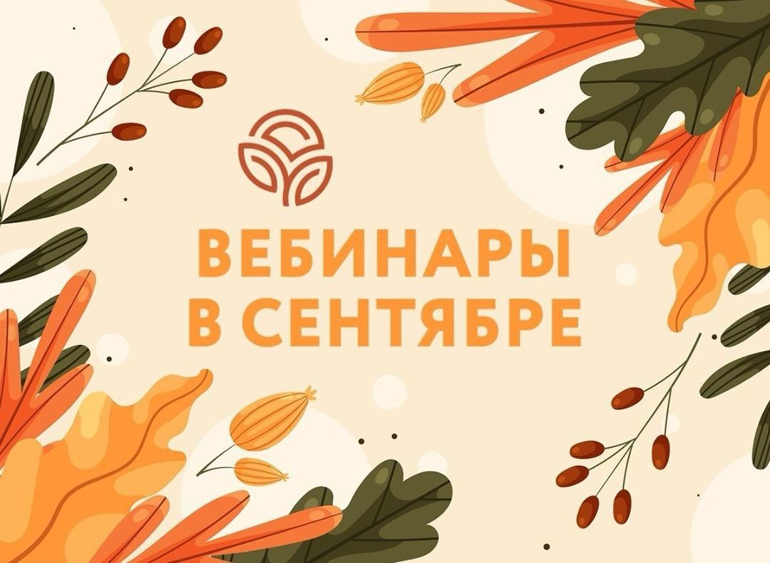 Вебинары NSP в сентябре