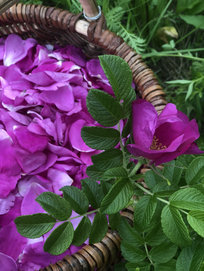 Гидролат Дикой Розы