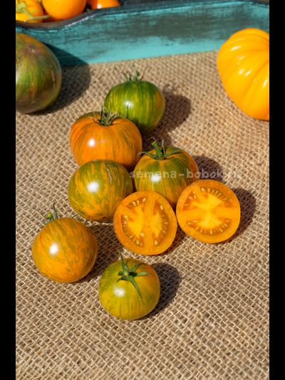 Томат Dwarf Jeremy's Stripes (Гном Джереми Полосатый), 10 шт