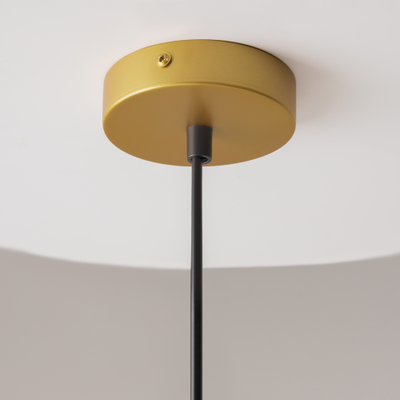 Подвесной светильник Telford, P361PL-01G