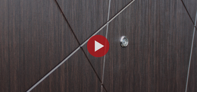 Стальная дверь   Вектор. Заказная модель.