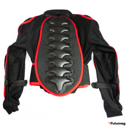 Черепаха Мотакс с узкой спиной