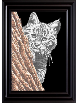 Рысенок, К3234