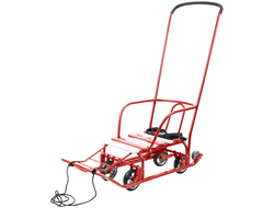 Продажа детских зимних саней Team 3.0 (Red) в Иркутске по низким ценам