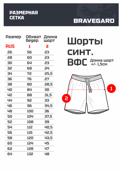 Шорты синтетические для самбо ВФС Bravegard Победа синие