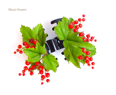 Краб с красной смородиной.