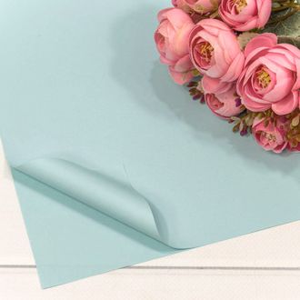 Пленка матовая в листах "Корейская" 56*56см 20шт Голубой ПЛ28/10