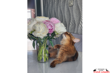 Выпускница Фокс.2