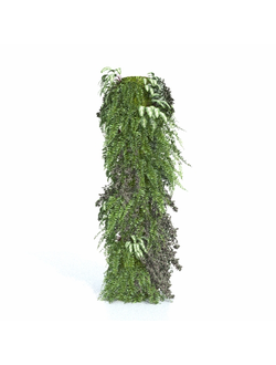 растительная стена Растительная колонна 1