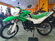 IRBIS TTR 250