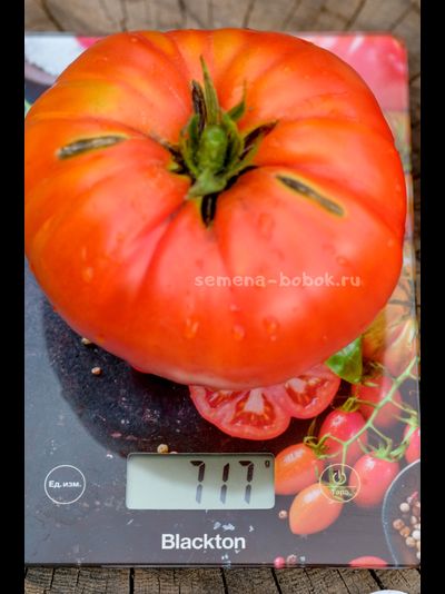 Томат Ивунтянский Великан, 10 шт