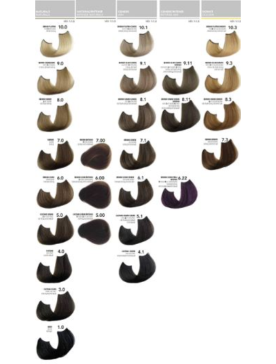 Shot Born to Be Colored Крем-краска для волос, 100 мл