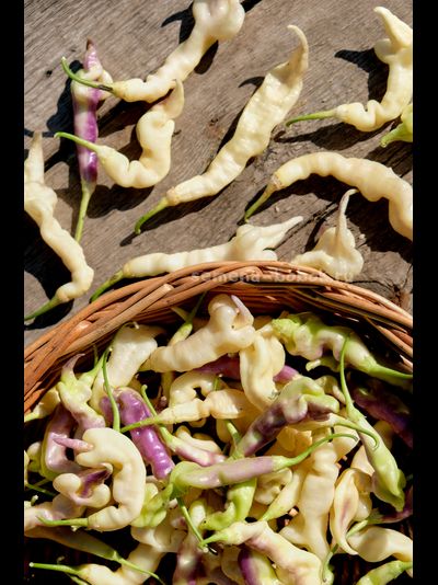 Перец острый Aji Confusion (Ахи Конфуз), 10 шт