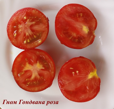 Томат Гондвана роза (Dwarf Gondwana Rose)